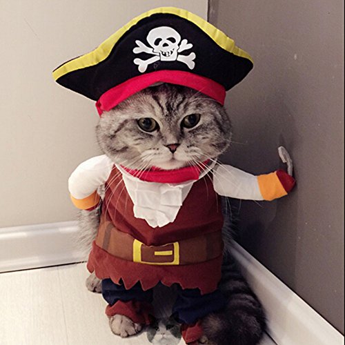 Costume per Gatti
