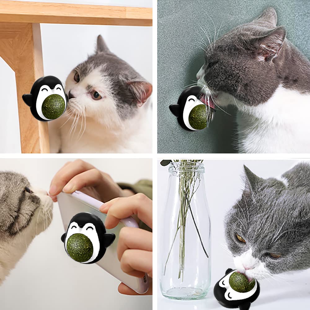 Catnip Games For Cats Interactive Toys For Cats