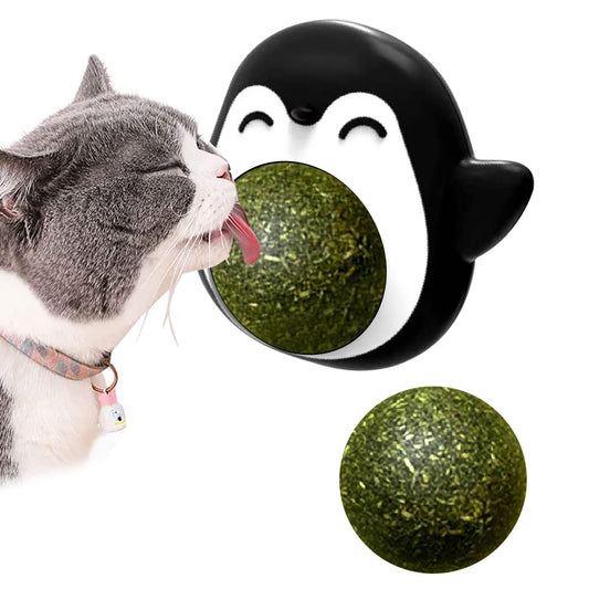 Catnip Games For Cats Interactive Toys For Cats