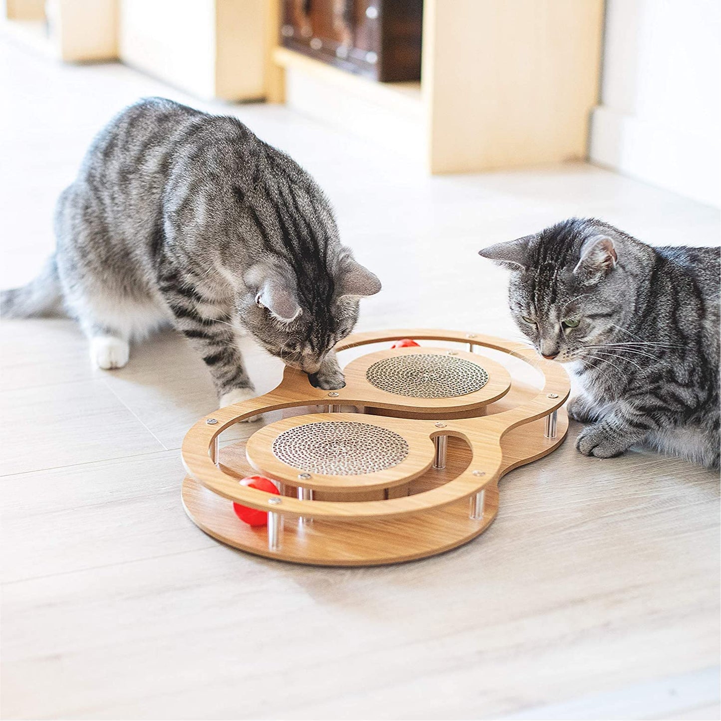 Cat Games and Scratching Posts - Cat Games for Adults and Kittens